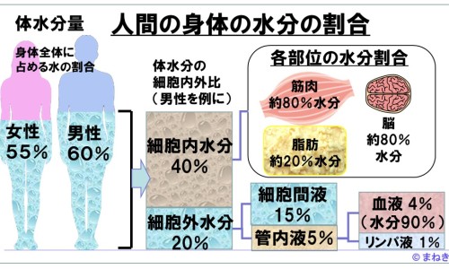 威仙灵对应穴位-威仙灵的作用-威仙灵有副作用吗,中国威仙灵有什么副作用网站